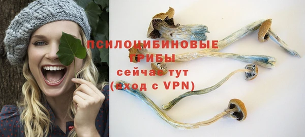 кокс Баксан