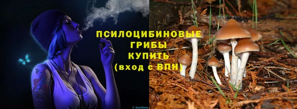 сатива Магадан