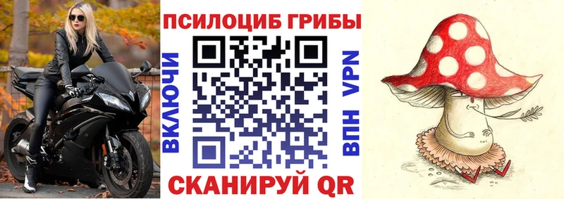 Псилоцибиновые грибы Psilocybe  Купить где  Алдан 